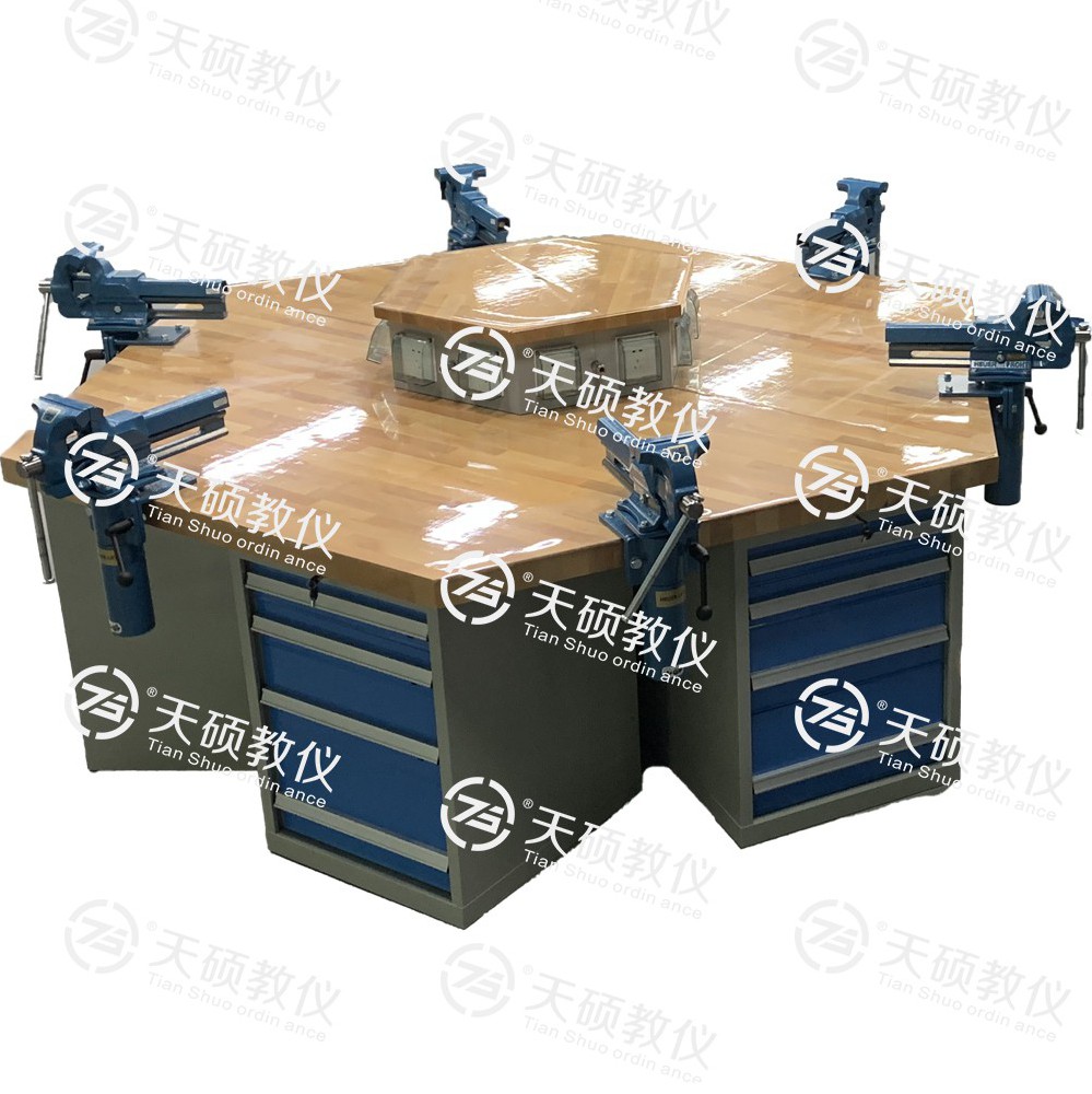 TSBTQG-3型 鉗工技能實訓平臺（六角六工位）